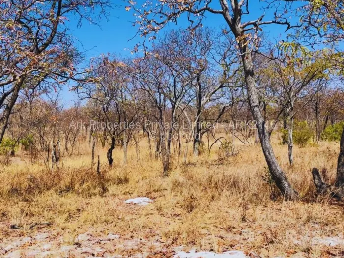 Farm/Plot for Sale in Ngezi, Ngezi