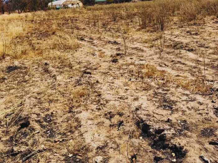 Farm/Plot for Sale in Ngezi, Ngezi