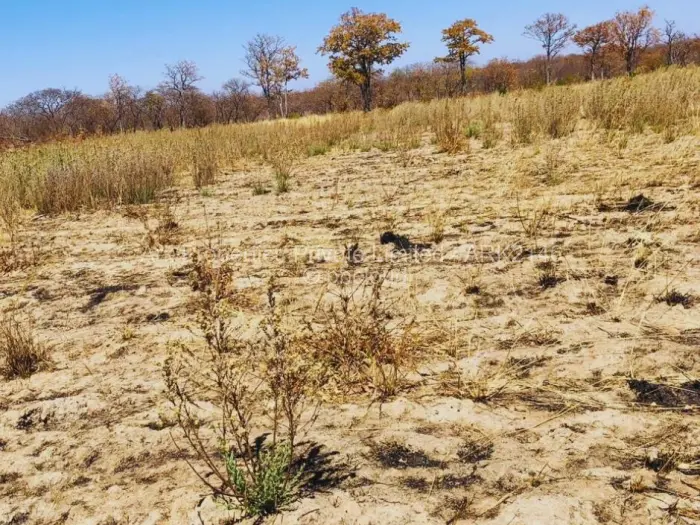 Farm/Plot for Sale in Ngezi, Ngezi