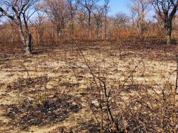 Farm/Plot for Sale in Ngezi, Ngezi