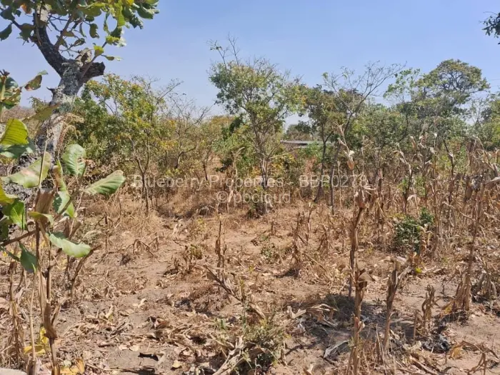 Residential Stand for Sale in Crowhill Views, Harare