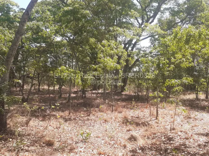 Residential Stand for Sale in Ruwa, Ruwa