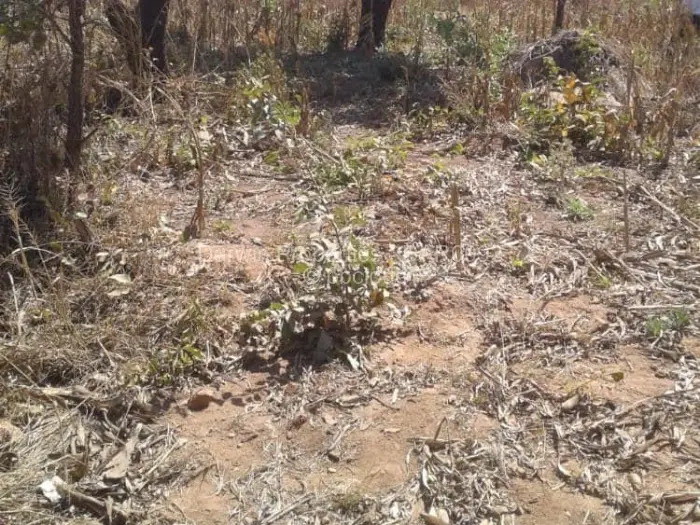 Farm/Plot for Sale in Crowhill Views, Harare