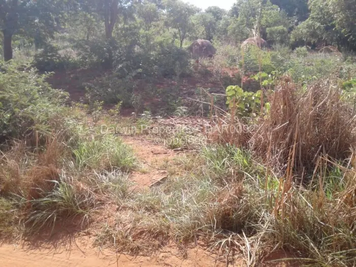 Farm/Plot for Sale in Crowhill Views, Harare