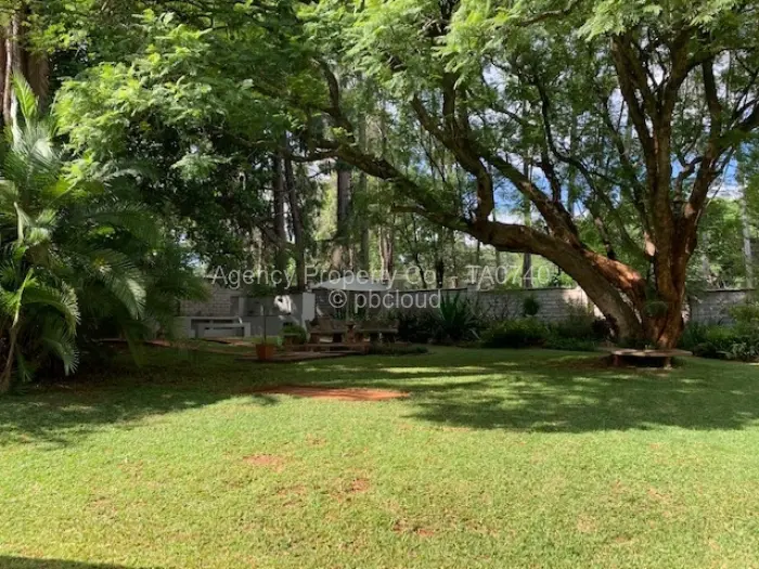 4 Bedroom House to Rent in Chisipite, Harare