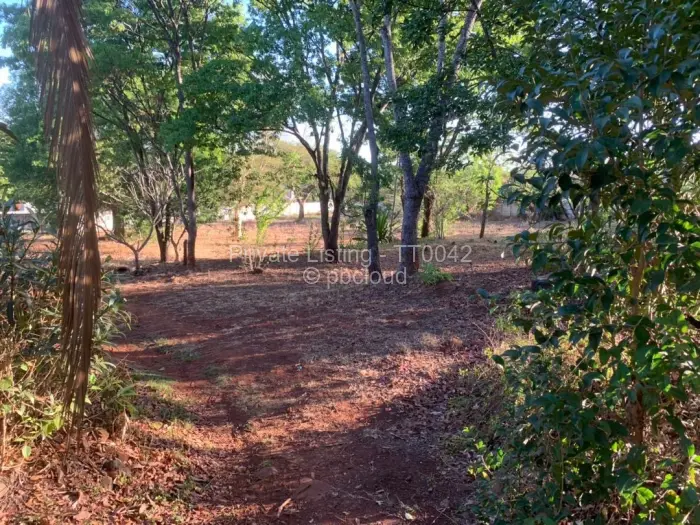 Residential Stand for Sale in Borrowdale, Harare