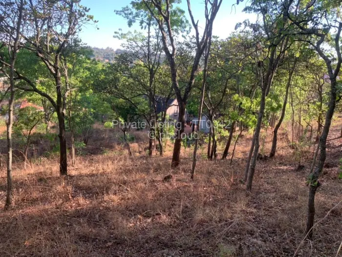 Residential Stand for Sale in Borrowdale, Harare