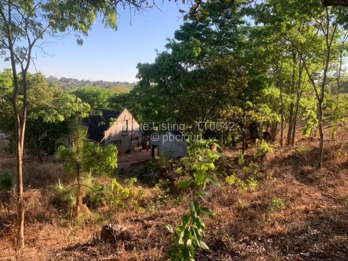 Residential Stand for Sale in Borrowdale, Harare