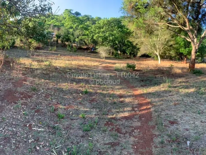 Residential Stand for Sale in Borrowdale, Harare
