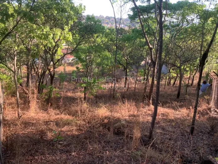 Residential Stand for Sale in Borrowdale, Harare