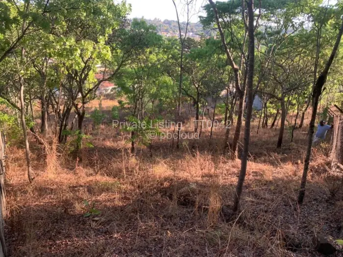 Residential Stand for Sale in Borrowdale, Harare