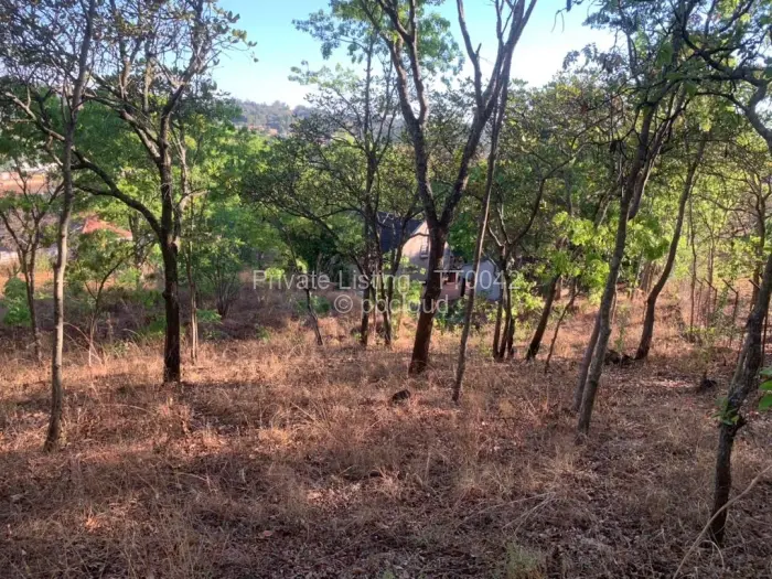 Residential Stand for Sale in Borrowdale, Harare