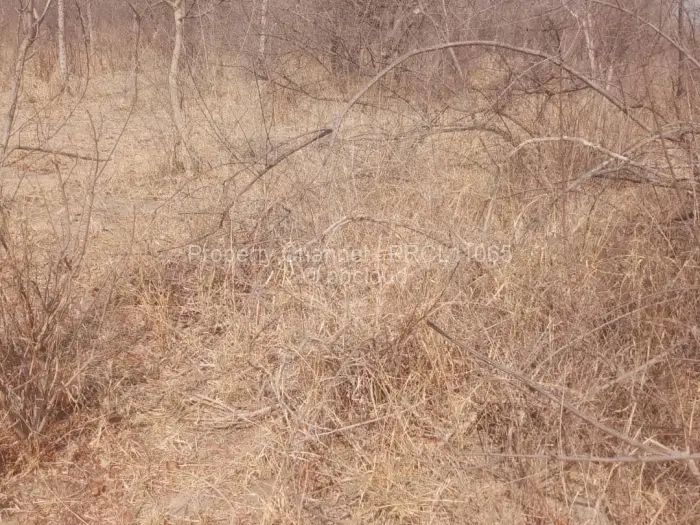 Commercial Stand for Sale in Redcliff, Redcliff