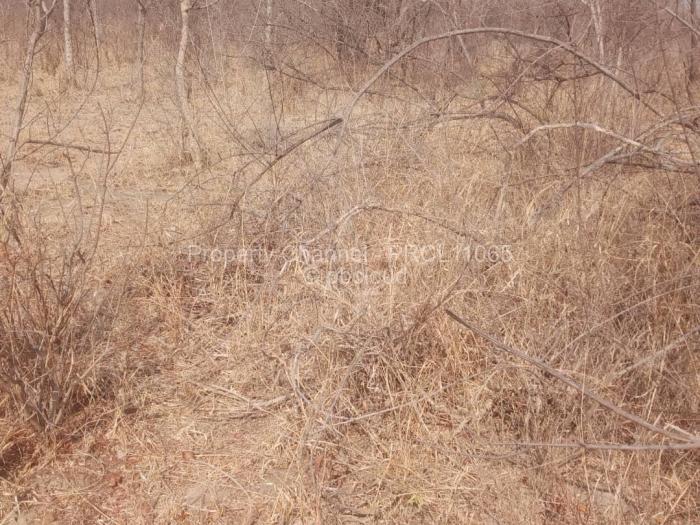 Commercial Stand for Sale in Redcliff, Redcliff