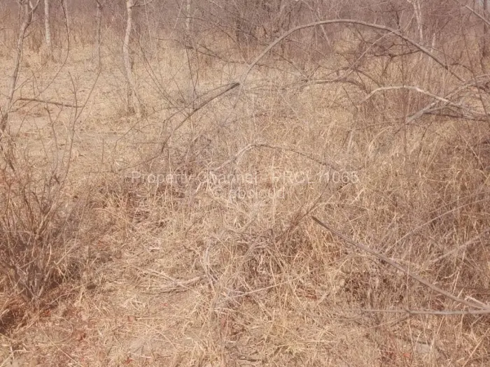 Commercial Stand for Sale in Redcliff, Redcliff