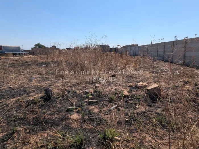 Farm/Plot for Sale in Damofalls, Damofalls