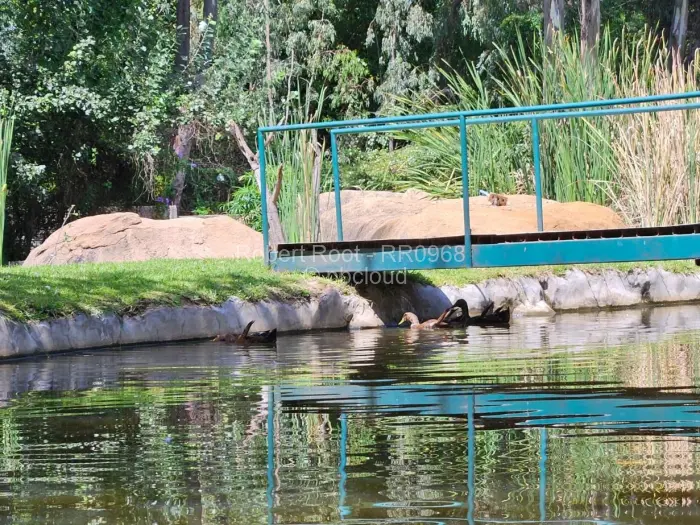 Townhouse/Cluster for Sale in Hatfield, Harare