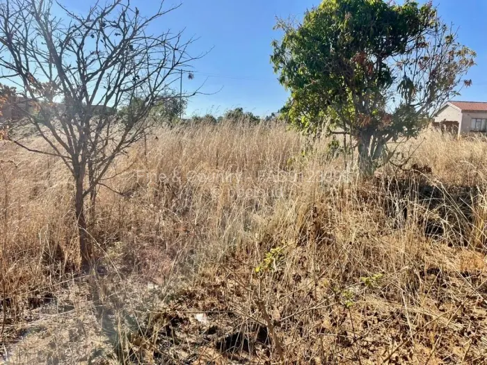 Farm/Plot for Sale in Rusape, Rusape