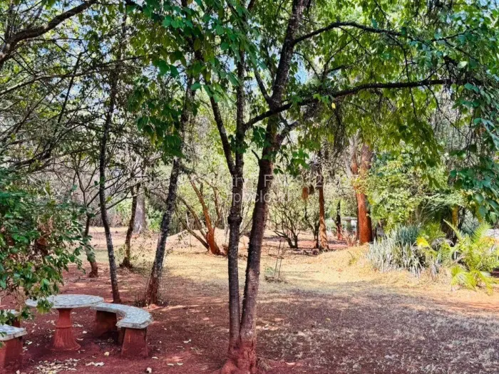 3 Bedroom House to Rent in Borrowdale, Harare