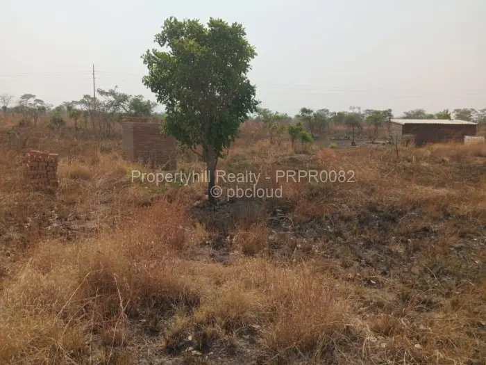 Farm/Plot for Sale in Selous, Selous