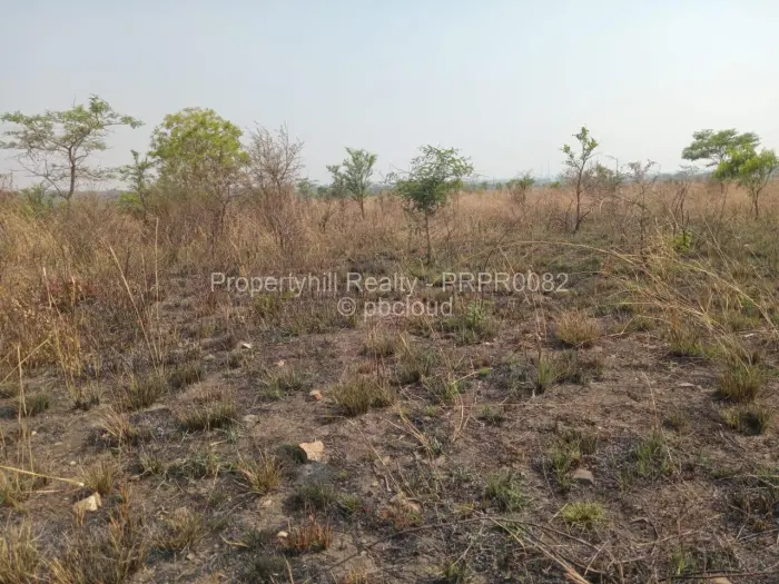 Farm/Plot for Sale in Selous, Selous