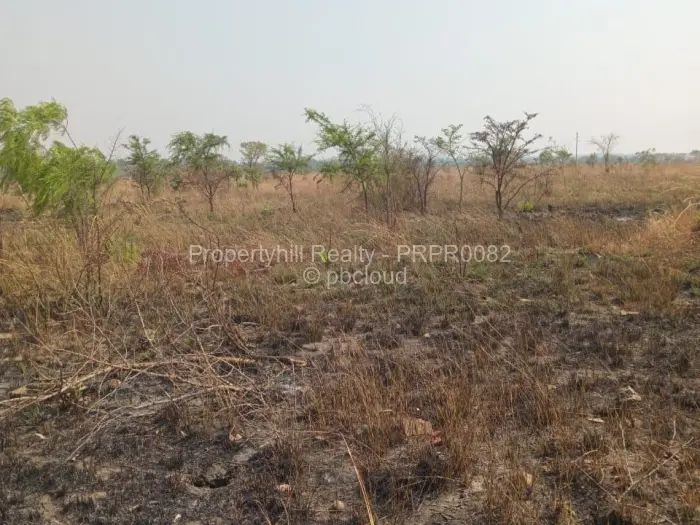 Farm/Plot for Sale in Selous, Selous