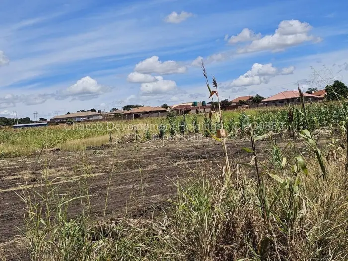 Residential Stand for Sale in Bulilimamangwe, Bulilimamangwe
