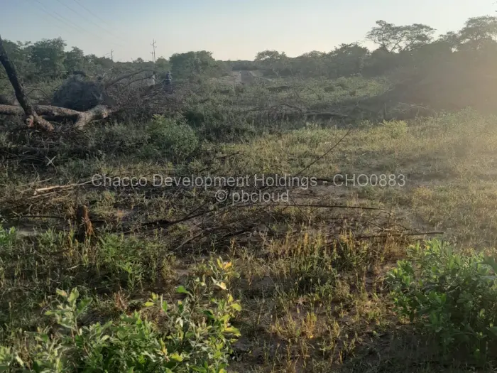 Residential Stand for Sale in Bulilimamangwe, Bulilimamangwe
