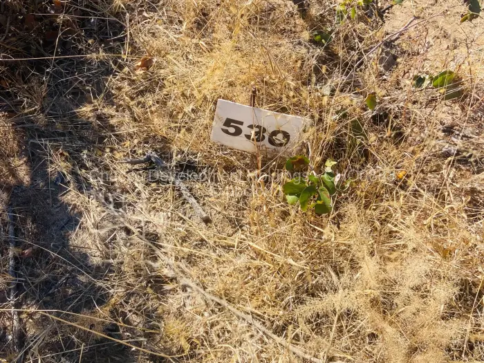 Residential Stand for Sale in Bulilimamangwe, Bulilimamangwe