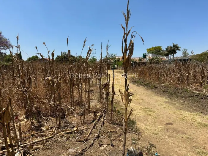 Stand for Sale in Goodhope, Harare