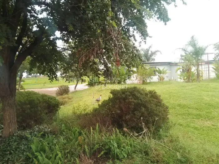 4 Bedroom House to Rent in Norton, Norton