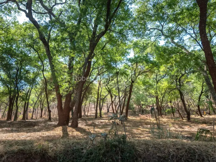 Commercial Stand for Sale in Lake Chivero, Lake Chivero