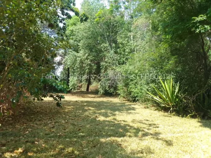 4 Bedroom House to Rent in Borrowdale