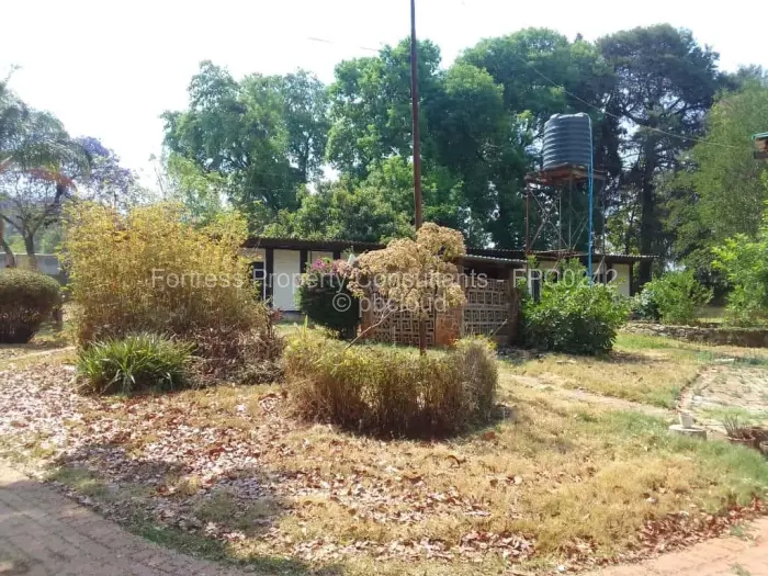 4 Bedroom House to Rent in Borrowdale