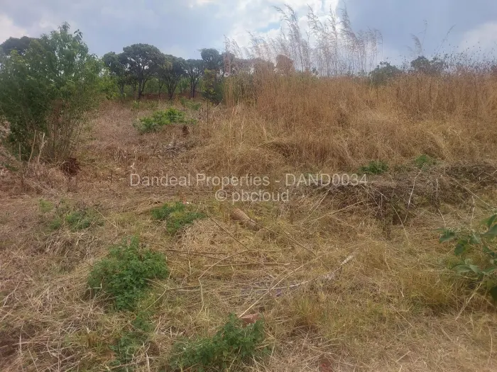 Farm/Plot for Sale in Borrowdale Brooke, Harare