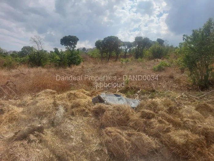 Farm/Plot for Sale in Borrowdale Brooke, Harare