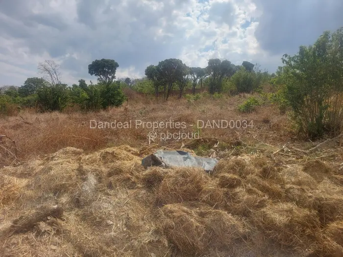 Farm/Plot for Sale in Borrowdale Brooke, Harare