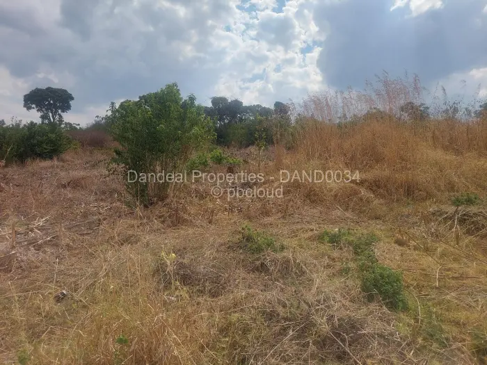 Farm/Plot for Sale in Borrowdale Brooke, Harare