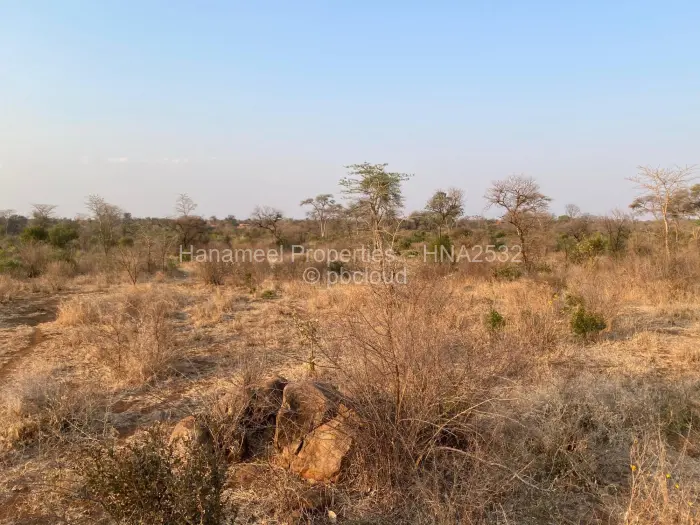 Farm/Plot for Sale in Selous, Selous