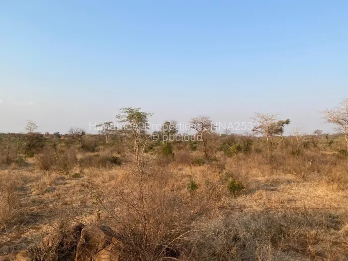 Farm/Plot for Sale in Selous, Selous