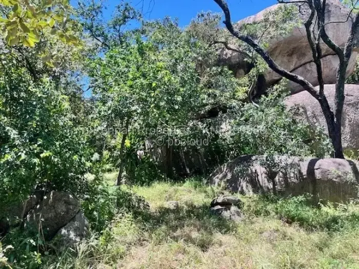 3 Bedroom House for Sale in Chadcombe, Harare