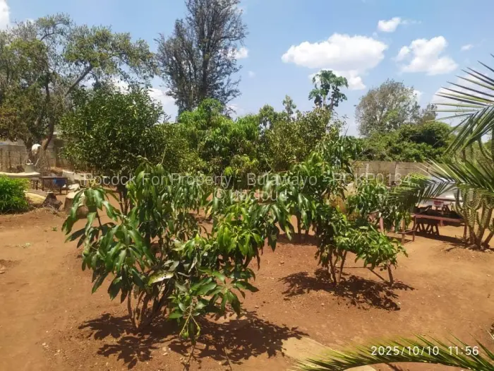 3 Bedroom House for Sale in Montrose Byo, Bulawayo