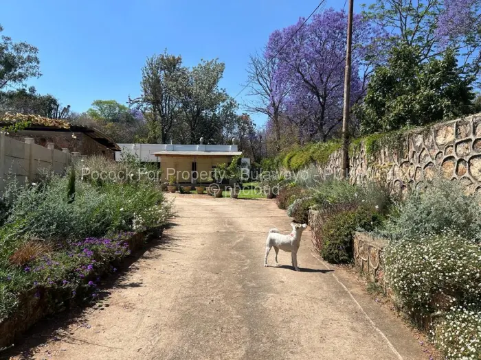 3 Bedroom House for Sale in Hillside Byo, Bulawayo