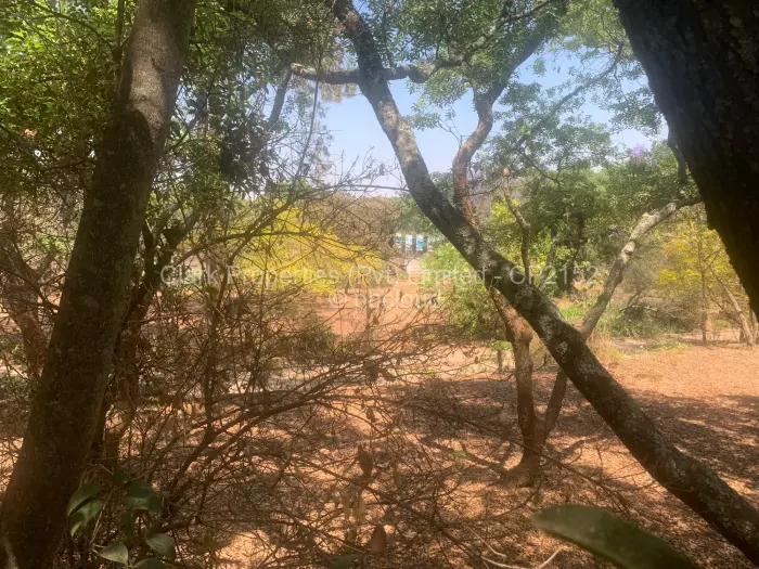 Residential Stand for Sale in Chisipite, Harare