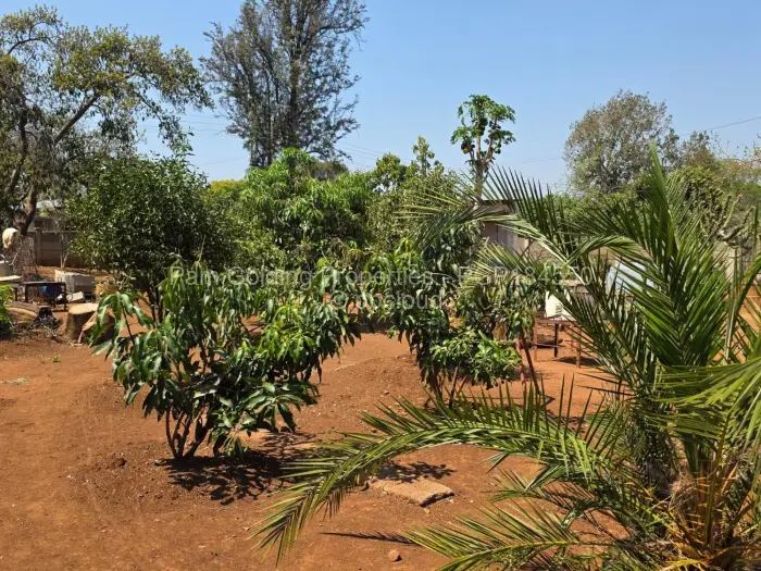 3 Bedroom House for Sale in Montrose Byo, Bulawayo