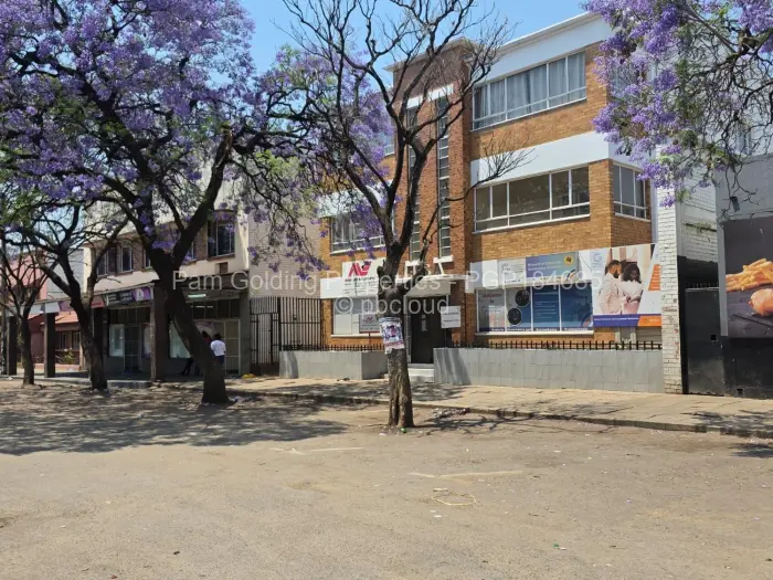 Commercial Property for Sale in Bulawayo City Centre, Bulawayo