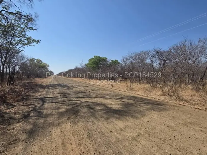 Farm/Plot for Sale in Nyamandlovu, Bulawayo