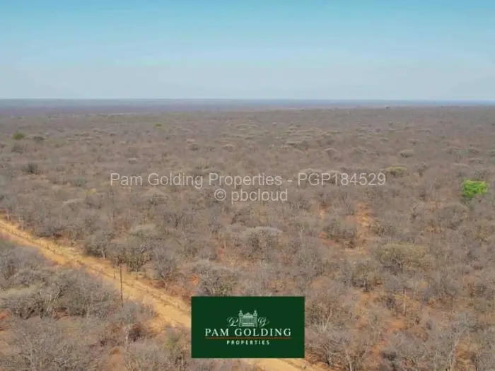 Farm/Plot for Sale in Nyamandlovu, Bulawayo