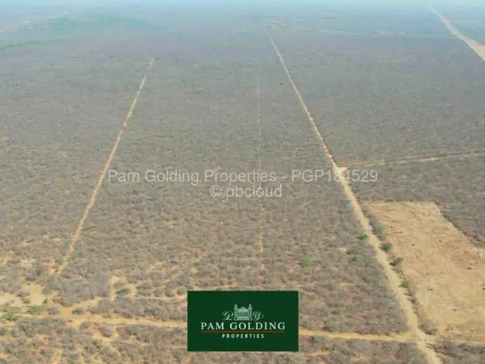 Farm/Plot for Sale in Nyamandlovu, Bulawayo
