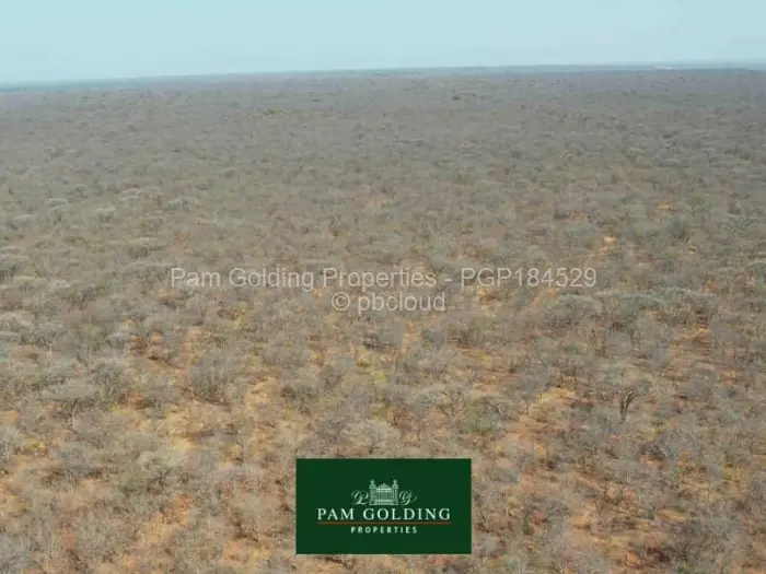 Farm/Plot for Sale in Nyamandlovu, Bulawayo